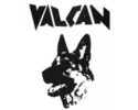RESIDENCIA CANINA VALCAN LOGO